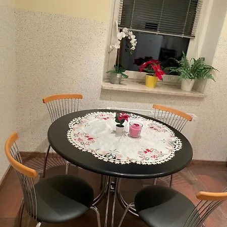 Apartment Schöne Zweiraumwohnung Im Zentrum Aue (Saxony)